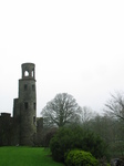 24860_D Lookout Tower Blarney Castle.jpg